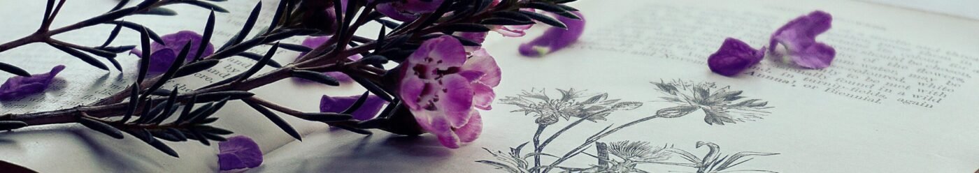 Delicate purple flowers on an open book with floral illustrations.